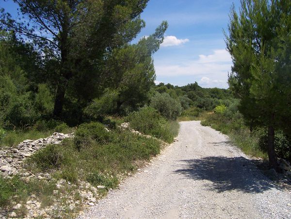 - Agrandir l'image, .JPG 782Ko (fenêtre modale)